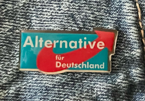 AfD Pin AfD das Original (Langlogo) versilbert – Bild 3